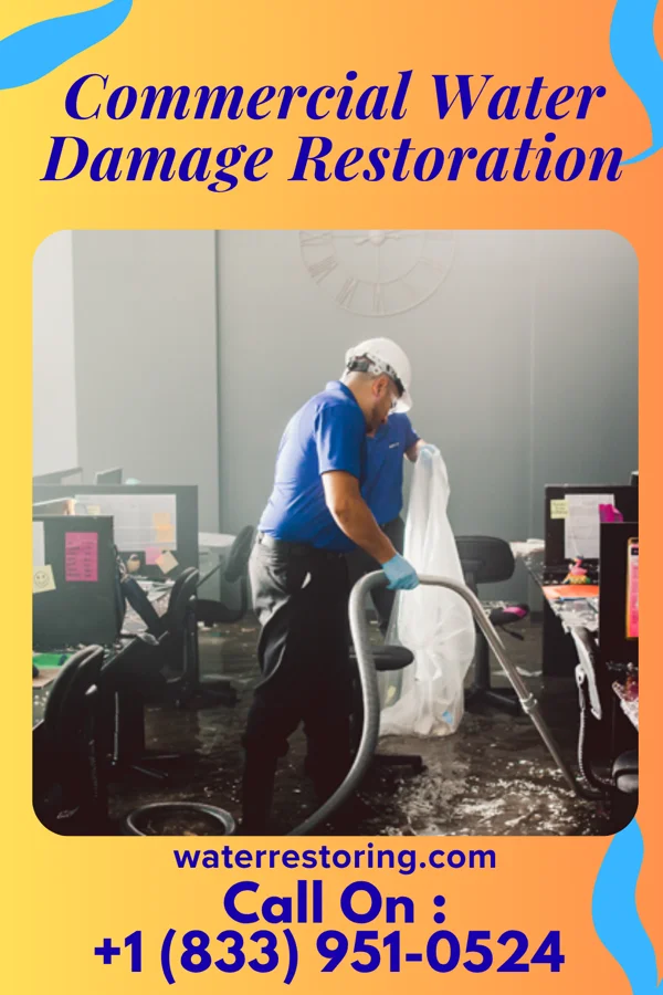 Commercial Water Damage Restoration in Palm Valley, TX