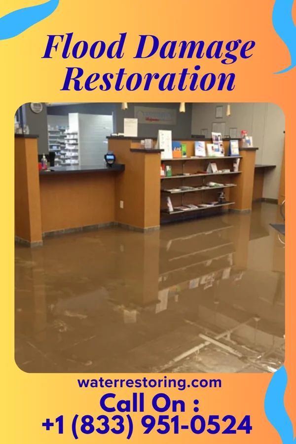Flood Damage Restoration in Palm Valley, TX