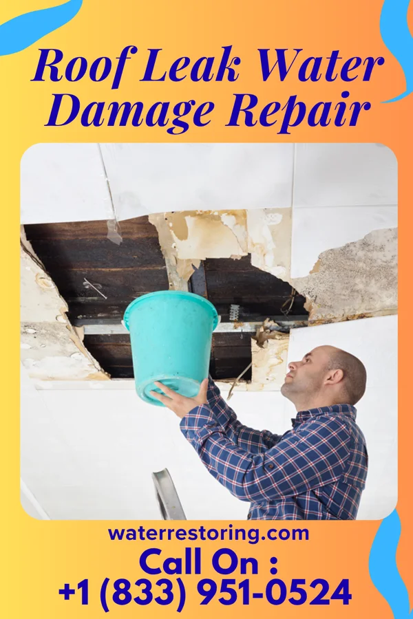 Roof Leak Water Damage Repair in Palm Valley, TX